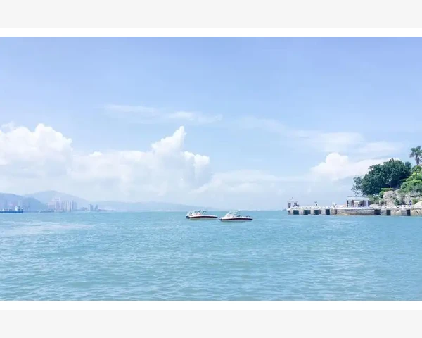红薯：中医经典食疗，祛痰止咳的佳品
